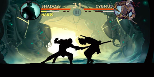 game Shadow Fight 2 05