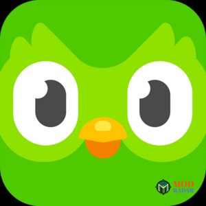 Duolingo Mod Apk Logo