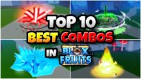 King of Fruit Combo