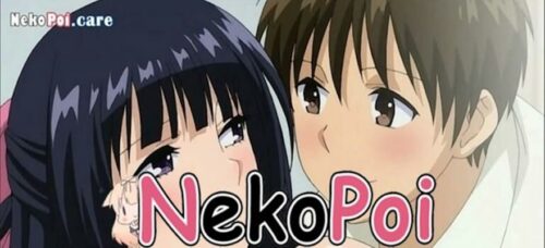 nekopoi care apk