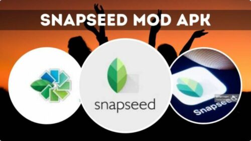 Tips and Tricks to Use Snapseed MOD APK