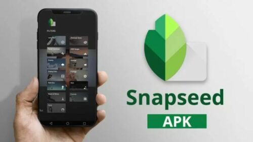 Introduction to Snapseed MOD APK