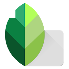 Download now Snapseed MOD APK