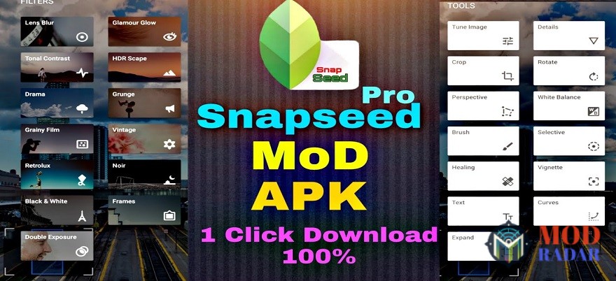 Snapseed Mod APK Features