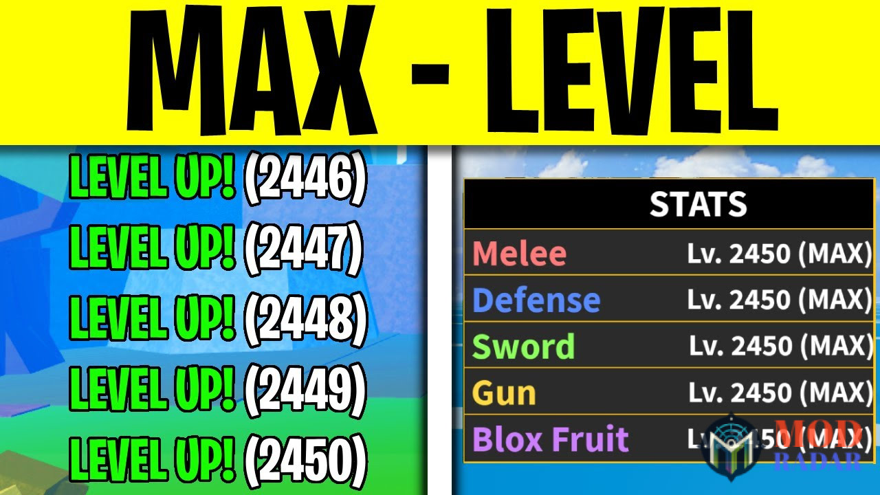 hack level blox fruit