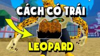 Cách để có trái Leopard ở Lv1 cho người mới chơi Blox Fruit