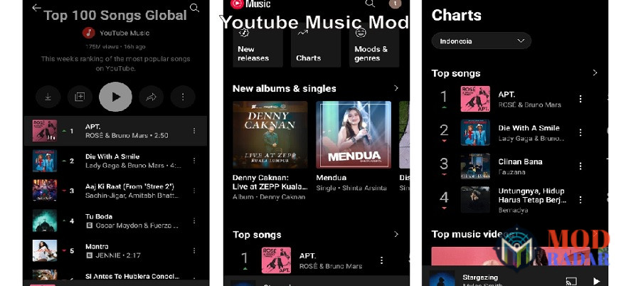 Puas dengerin lagu apapun di Youtube Music Mod