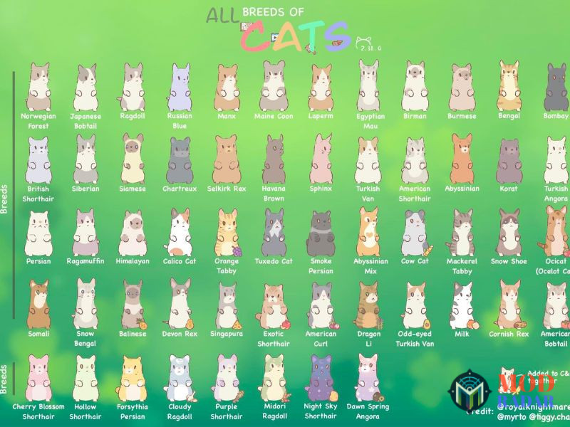 meo va sup mod apk 3 Tải Mèo Và Súp MOD APK (Vô Hạn Tiền, Mua Sắm Miễn Phí) v4.30.1 Đồ Họa 2D Pastel Dễ Thương Trong Mèo Và Súp MOD