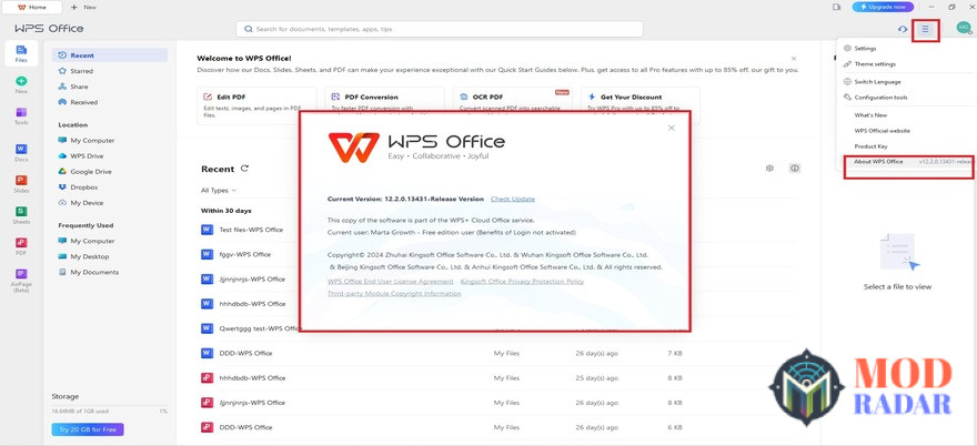 WPS Office Mod APK Options