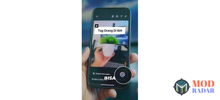 Klik ikon @ untuk tag akun di status WhatsApp Apk