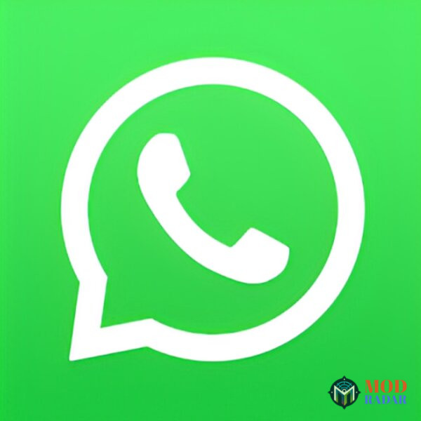 WhatsApp Apk