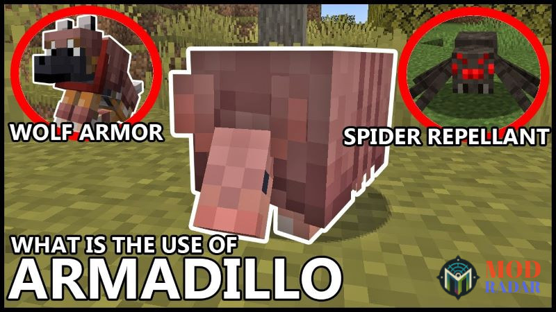 Sinh vật mới Armadillo trong Minecraft 1.20.51