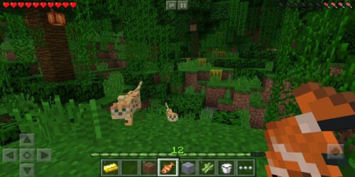 Hack Minecraft 1.20.15 Apk Tiếng Việt