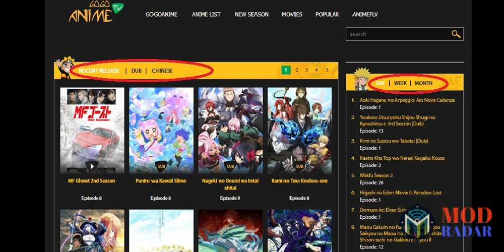 Gogoanime APK Things to Look out