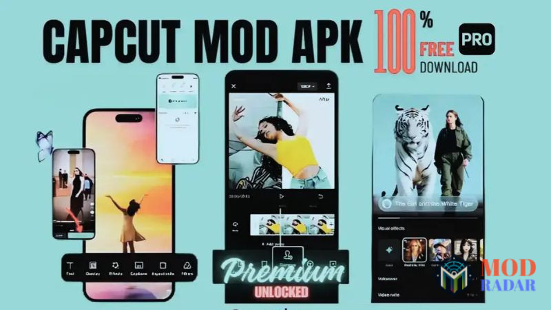 C&aacute;c Đặc Quyền Chỉ C&oacute; Tại CapCut Pro MOD