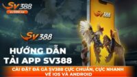 SV388 là sân chơi uy tín cung cấp phiên bản ứng dụng cực tiện lợi