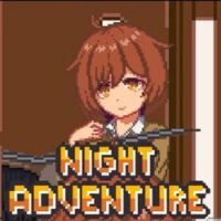 Night Adventure Apk