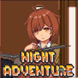 Night Adventure Apk