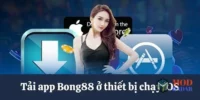 Giới thiệu về app bong88