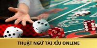 Cụm từ liên quan đến nhà cái và bàn cược được nhiều bet thủ quan tâm