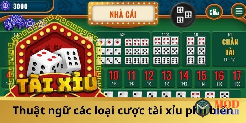 Thuat ngu tai xiu online loai cuoc 1001 Thuật Ngữ Tài Xỉu Online: Đọc Hiểu Là Chơi Chuẩn Hiểu tường tận cụm từ liên quan đến các cược tài xỉu