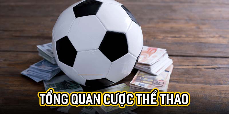 Tổng quan cược thể thao
