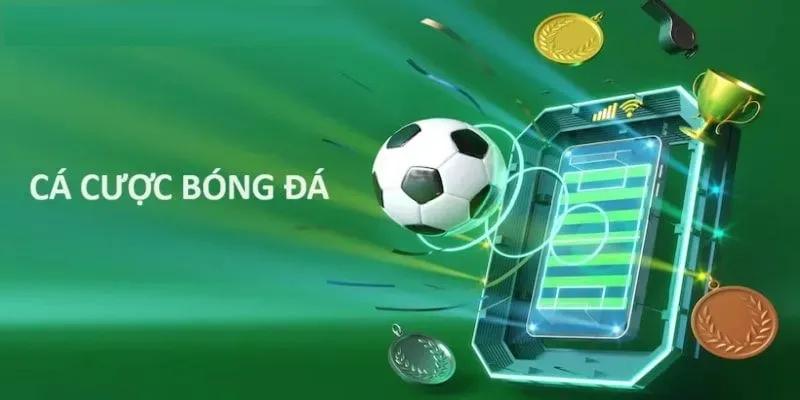 Tối ưu trên mọi thiết bị, dễ xem dễ tìm kiếm
