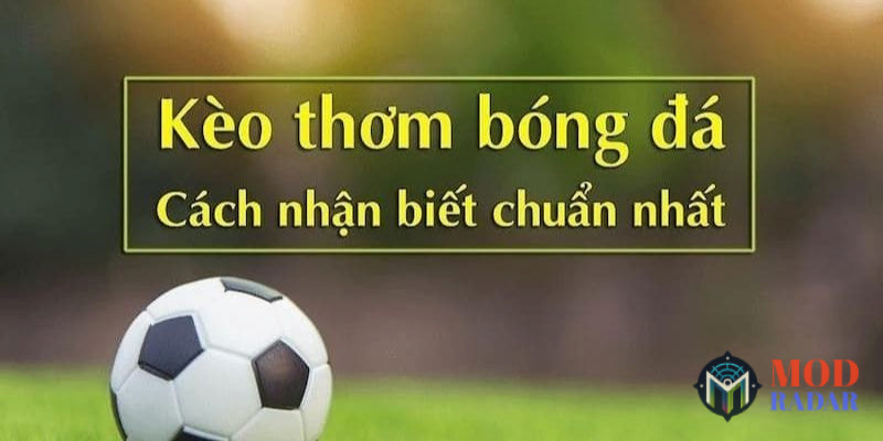 Tân thủ cũng có thể tự mình tìm được kèo thơm với các phương pháp trên