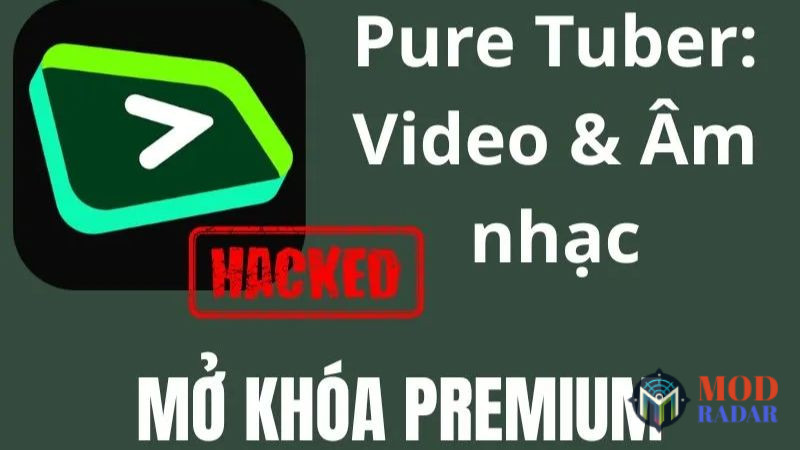 Những Đặc Quyền Thượng Lưu Từ Bản Pure Tuber Mod APK