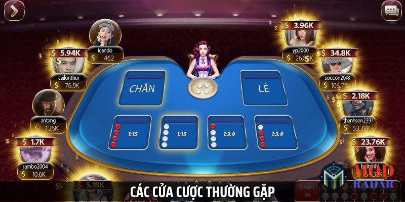 Các cửa cược phổ biến mà bạn cần phải hiểu rõ và ghi nhớ